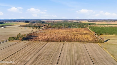 00000 Gum Bridge Rd, Elizabeth City, NC 27909 - photo 2