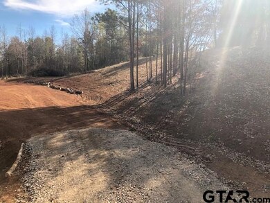 13149 Fm 848, Whitehouse, TX 75791 - photo 2