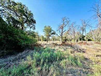 County Road 428, Cross Plains, TX 76443 - photo 4