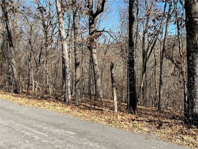 1 Ulverston Dr, Bella Vista, AR 72714 - photo 5