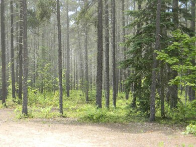 Woods