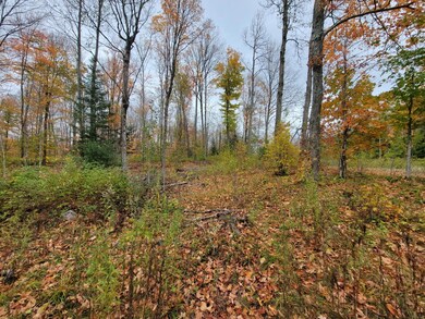 ON Cth A unit Lot 1, Deerbrook, WI 54424 - photo 3