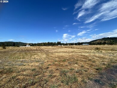 5480 Nonpareil Rd, Sutherlin, OR 97479 - photo 7