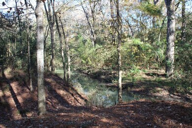 Peaceful view of the creek at the back of the property