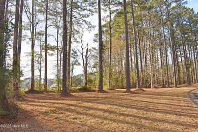 179 Corolla Loop Rd, Oriental, NC 28571 - photo 4
