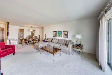 4840 Foster St unit 304, Skokie, IL 60077 - photo 6