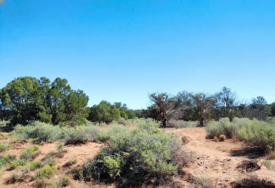 3992 Sorrel Rd, Snowflake, AZ 85937 - photo 2