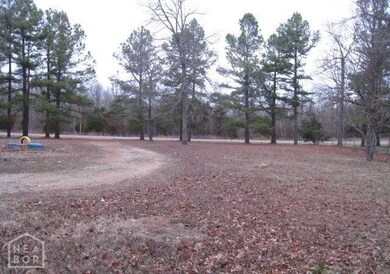 2138 Ark 175, Mammoth Spring, AR 72554 - photo 6