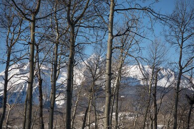 20180226-301Q-49