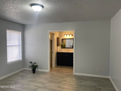 1722 Ron Cerrudo St, El Paso, TX 79936 - photo 6