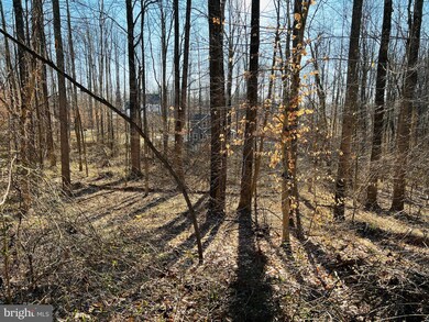 794 Richardson Dr, Harwood, MD 20776 - photo 3