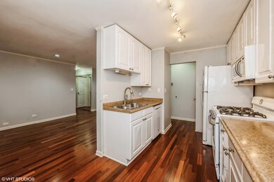 Sheridan Balmoral Apartments unit 204, Chicago, IL 60640 - photo 5