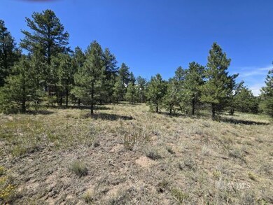 755 Black Fawn Ln, Westcliffe, CO 81252 - photo 7