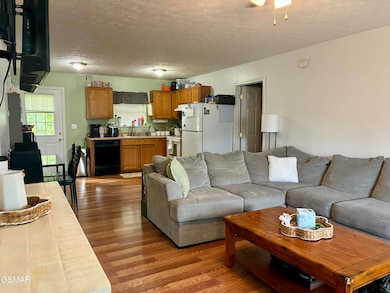 151 Red Bud Ln, Sevierville, TN 37876 - photo 3