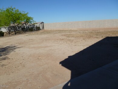 Large Backyard