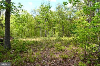 0 Lot 12 Secession Ln unit 1003490994, New Market, VA 22844 - photo 2