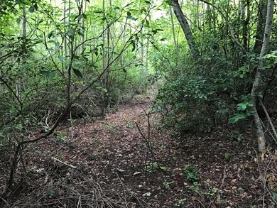 Tbd Bobcat Dr, Big Stone Gap, VA 24219 - photo 4