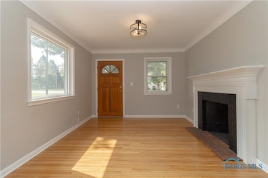 12922 Airport Hwy, Swanton, OH 43558 - photo 4