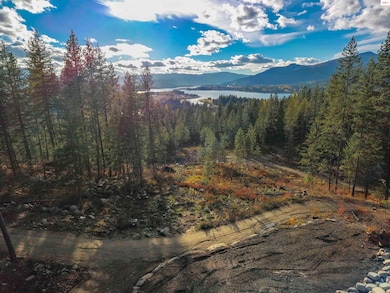 320 & NNA Towering Pines Drive (11 25 Ac), Sagle, ID 83860 - photo 4