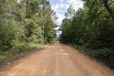 010 Attala Rd, McCool, MS 39108 - photo 5