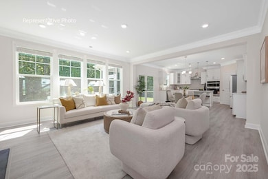 2042 Gallinule Dr, Indian Trail, NC 28079 - photo 4