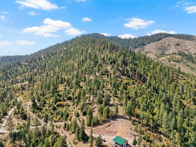 4139 N Deer Lake Rd unit LOT 5, Loon Lake, WA 99148 - photo 3