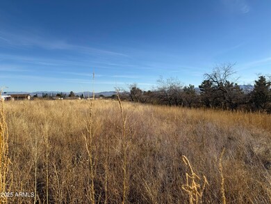 1ac S Gold Creek -- unit C, Hereford, AZ 85615 - photo 2