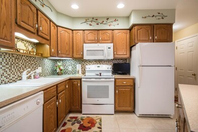 1108 Bayshore Dr SW unit 57, Byron Center, MI 49315 - photo 6