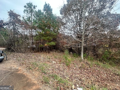 4947 Cash Rd, Flowery Branch, GA 30542 - photo 3