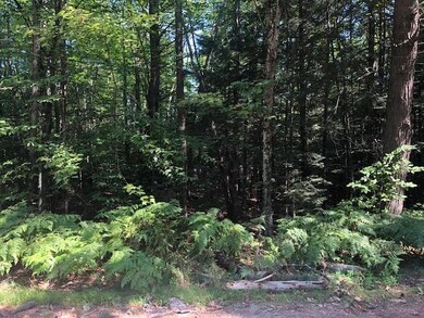 52 Beech River Cir, Center Ossipee, NH 03814 - photo 6