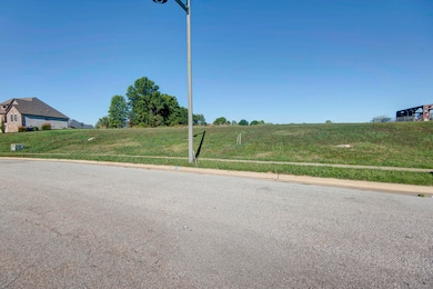 3232 W Bluffview St, Springfield, MO 65810 - photo 4