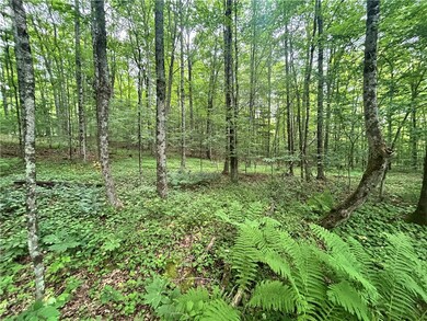 0 County Highway 3a unit R1629709, Unadilla, NY 13849 - photo 4