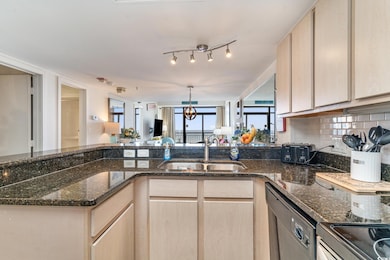 Kitchen featuring dark stone counters, dishwasher,