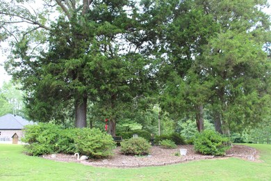 landscaped front yard