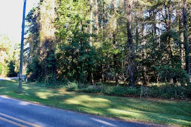 0 Statham Lake Front, Cobb, GA 31735 - photo 3