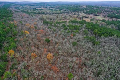 0000 County Line Rd, Booneville, AR 72927 - photo 7