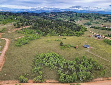 1087 Kite Ct, Como, CO 80456 - photo 7