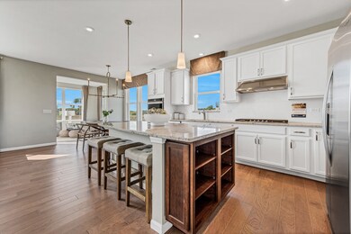 777 Spring Cir S, Lindenhurst, IL 60046 - photo 3