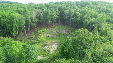 DJI_0342