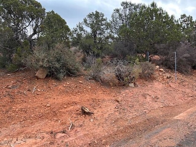 158 N Red Hill Rd, Central, UT 84722 - photo 2