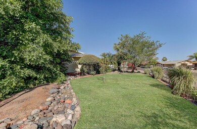 103-Frontyard