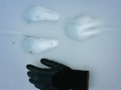 0 Nutes Rd unit 4621153, Milton, NH 03851 - photo 2