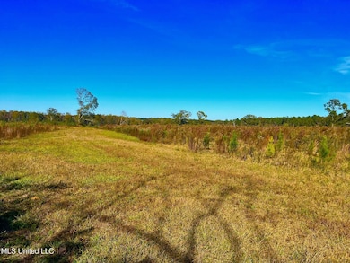 0 Darbun China Grove Rd unit 25665119, Sandy Hook, MS 39478 - photo 6