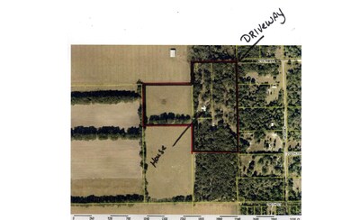 4534 276th Terrace, Branford, FL 32008 - photo 3