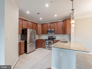 24701 Byrne Meadow Square unit 308, Aldie, VA 20105 - photo 6