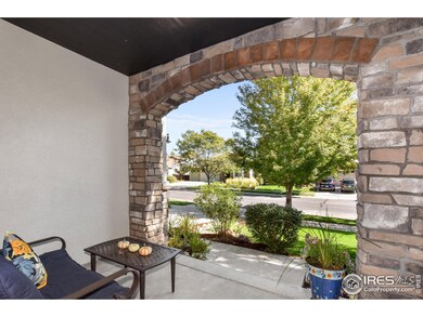 5793 Quarry St, Timnath, CO 80547 - photo 3