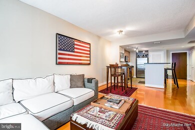 The Phoenix at Clarendon Metro unit 315, Arlington, VA 22201 - photo 4
