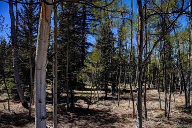 0 Kiowa St unit 9633454, Como, CO 80432 - photo 6