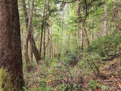 0 Yashi Rd unit NWM2428983, Brinnon, WA 98320 - photo 5