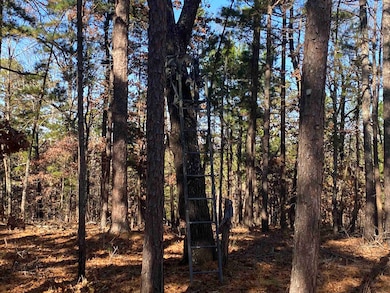 924 Quail Way, Elizabeth, AR 72531 - photo 6